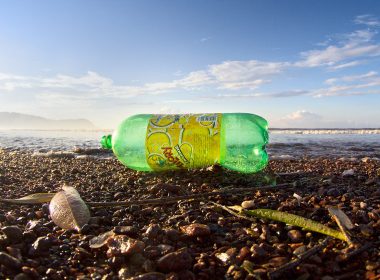 Plastic pop bottle on a beach in Costa Rica