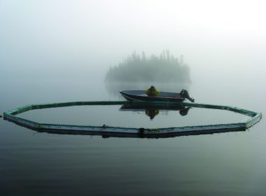 ELA boat on lake, foggy A\J AlternativesJournal.ca
